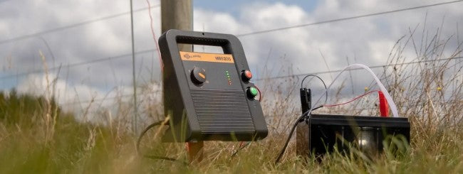 Dual Power 12v/Mains Energisers
