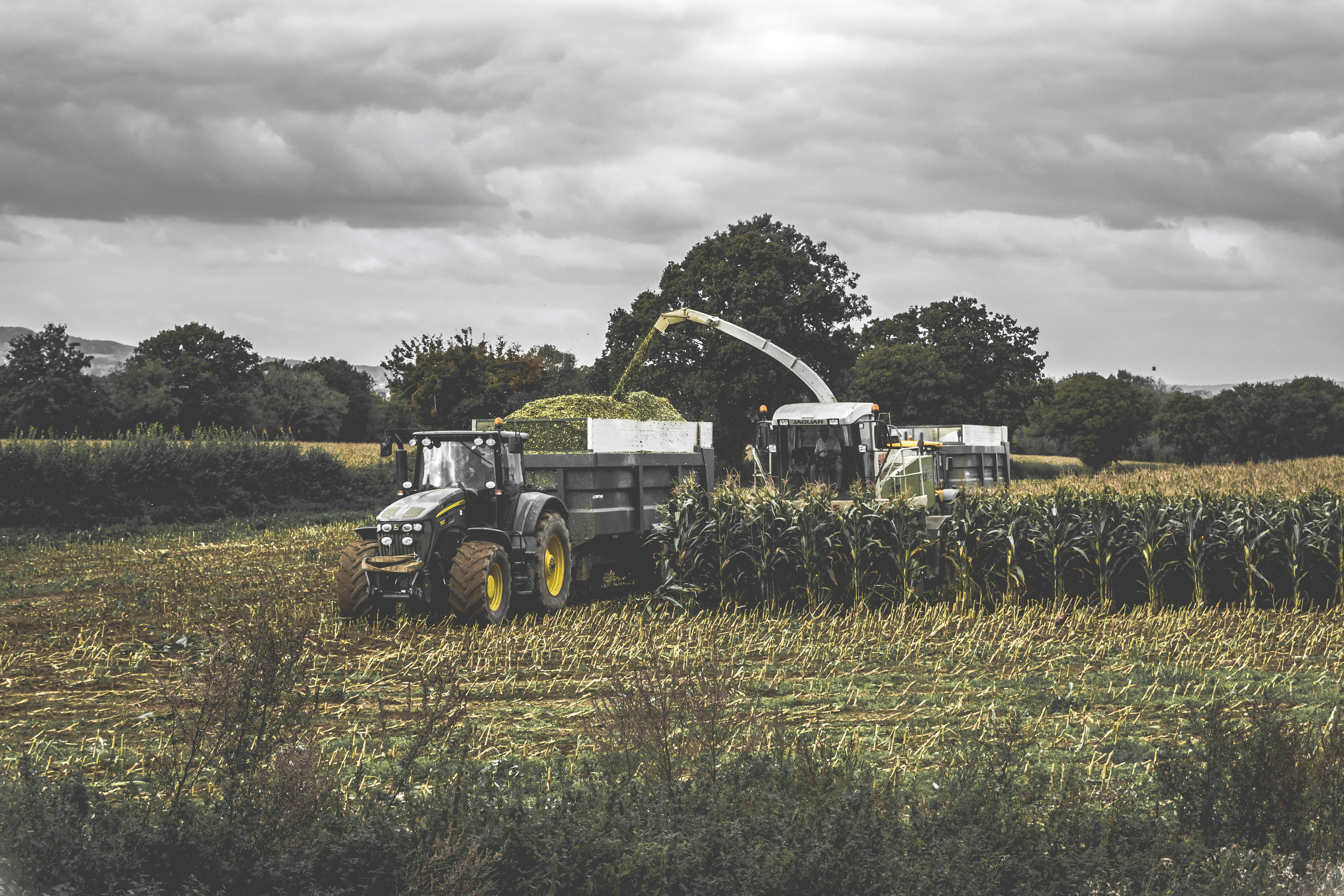 Exef Silage Sheets & Silage Netting