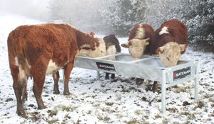 Cattle Troughs & Feeders