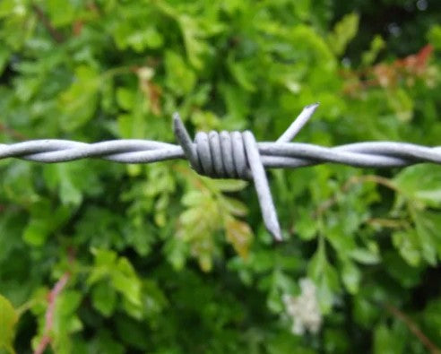 Barbed Wire