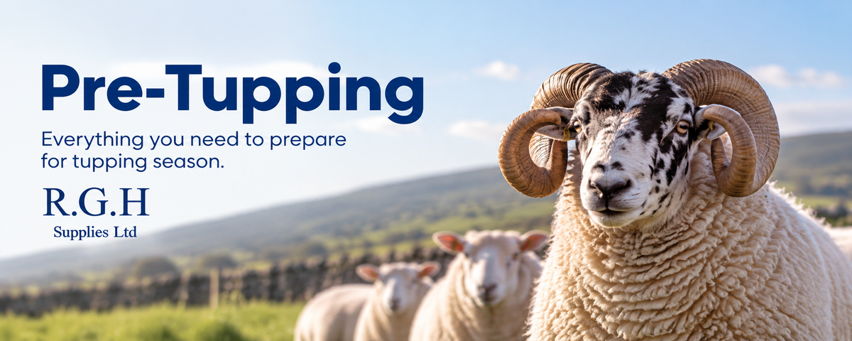 Pre-Tupping/Tupping Essentials