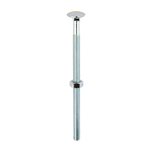 Carriage Bolt & Nut - Zinc