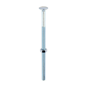 Carriage Bolt & Nut - Zinc