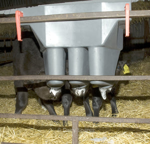 Milk Bar 3 Compartment Calf Feeder - With Hooks To Suit 25mm Rails - MB29